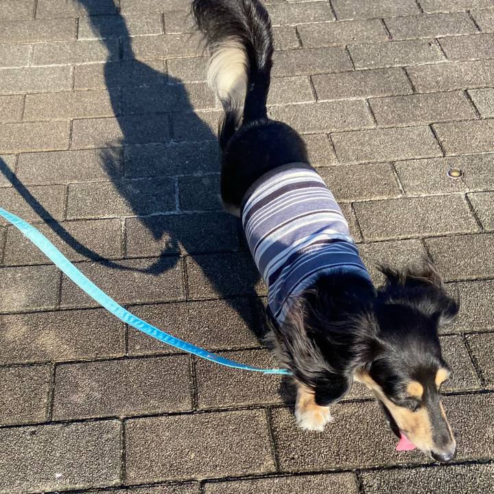 48707067 c3d5 43e9 a68a 7caab3dd09ea 1728818654320