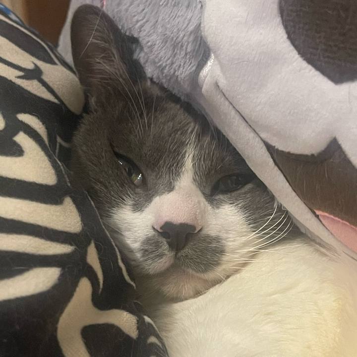 487073f1 1154 49ff a262 e12b44744bc8 1709830530071