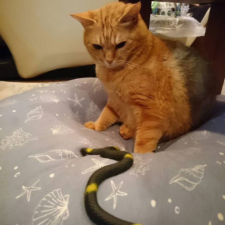 487075fe 8598 40c6 baa6 71166536f1bd 1525873660683