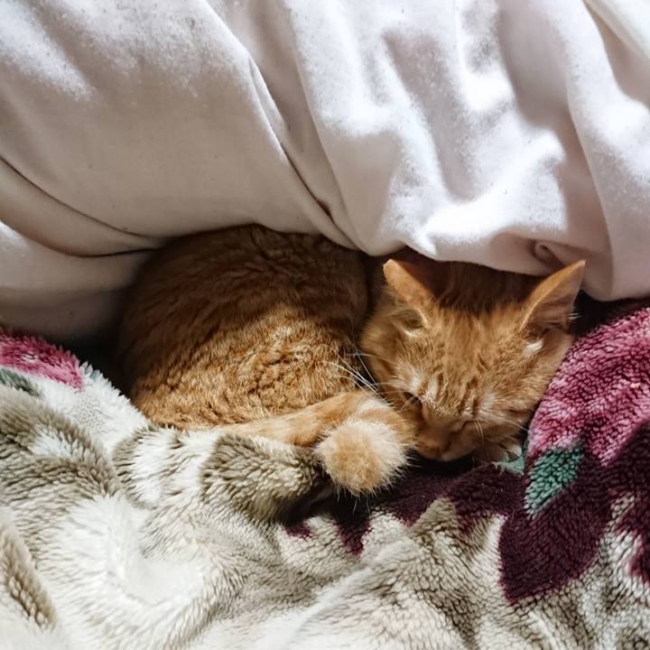 4870a03e 6c3f 4b7c a6fb 87ef9bb77541 1640000527255