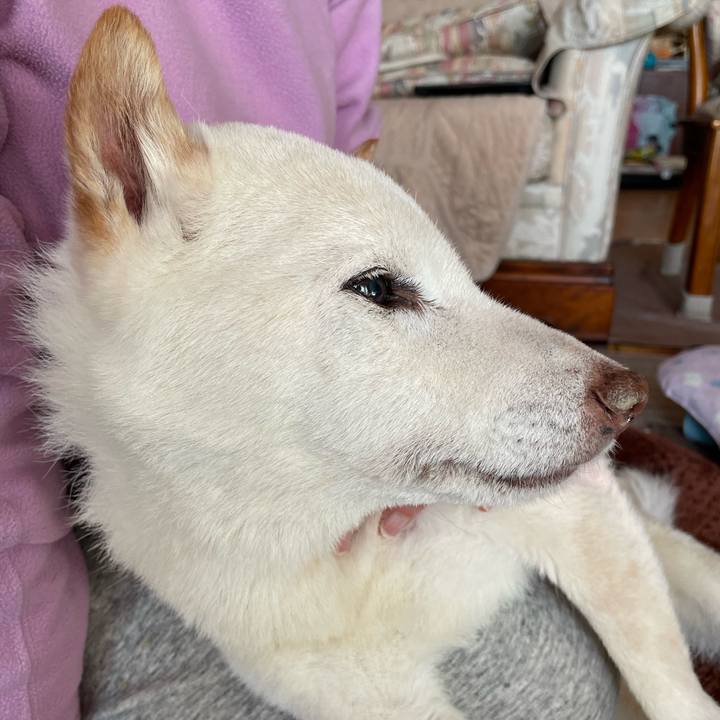 4870ace0 acb5 4297 b72e 4f05551af063 1674123496794