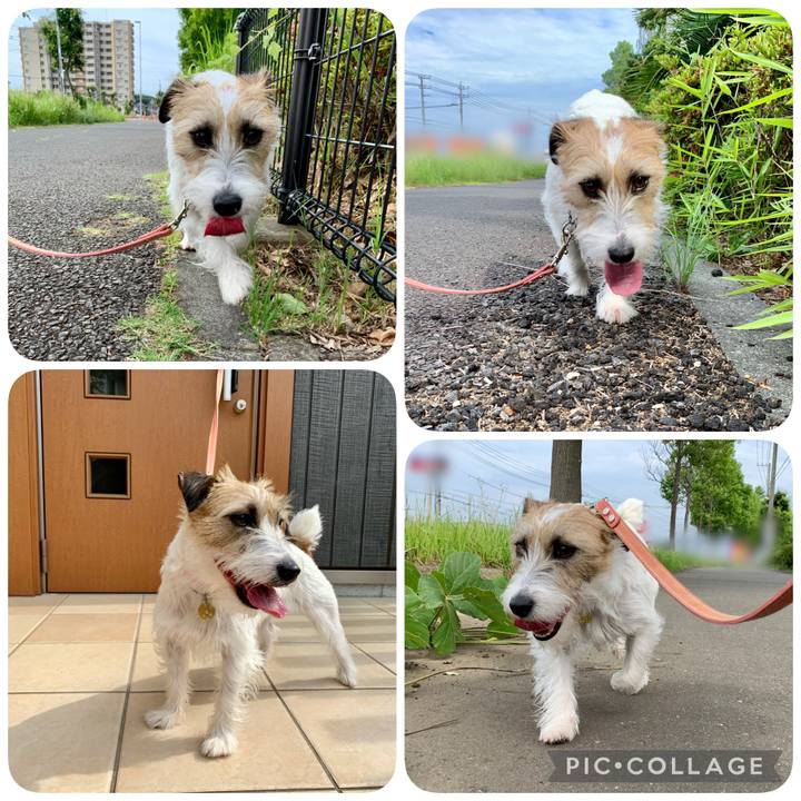 4870b78c 24fa 4018 8edc 0ad595846332 1623473477692