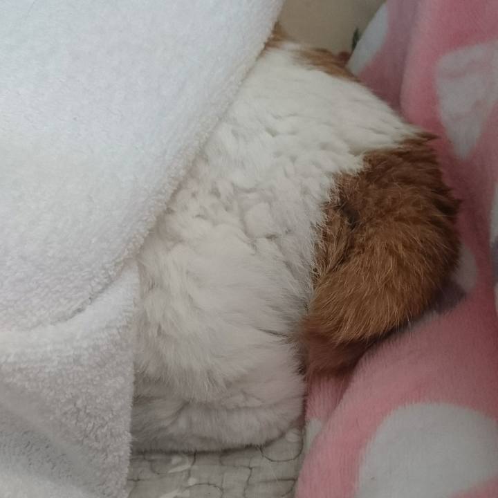 4870c88e 4d81 40ac 87d3 47cedfa15ded 1557008061242