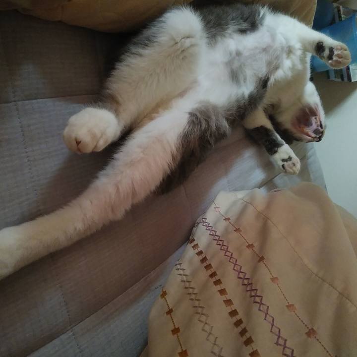 4870cf4a eeba 4662 8830 b0c5aba9e83d 1587434199396