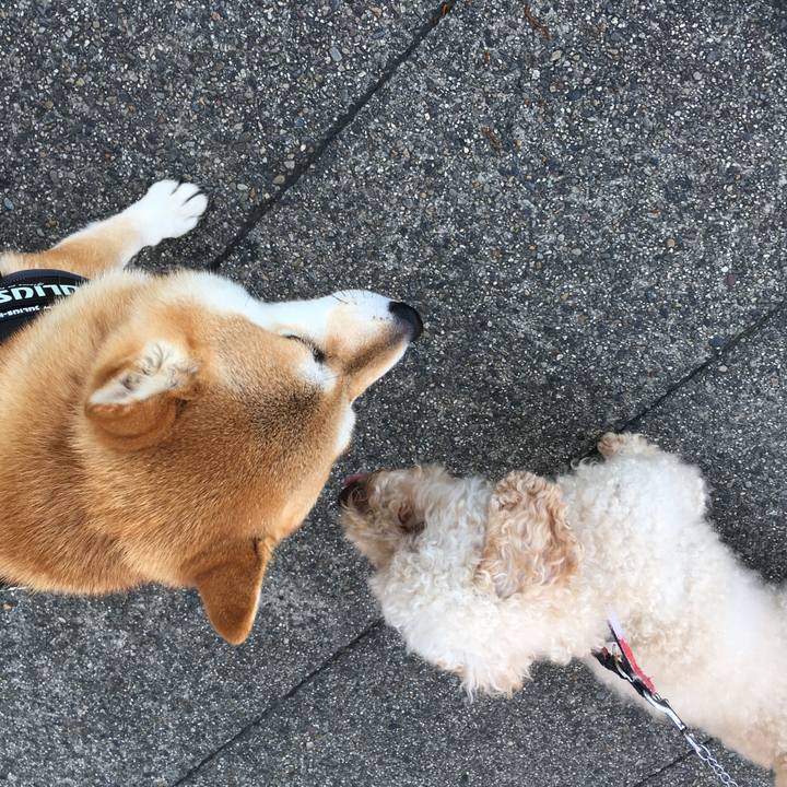 4870ecf3 3389 45d4 99e9 1c7f07c5cc6a 1532644136682