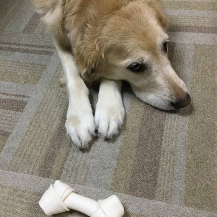 4870fd50 0d78 4e74 8d79 584fc2bab741 1571478386999