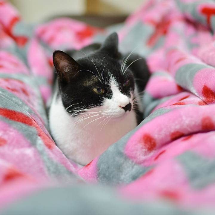 48710661 f219 4813 b765 65b1ba922681 1540905464538