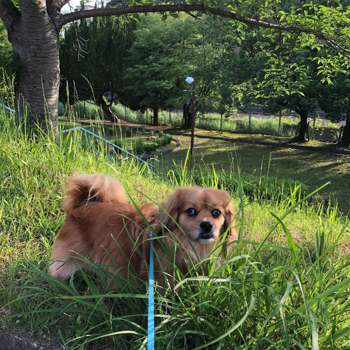 48711bea d126 4c02 8853 8d8d674a3cf5 1560461671312