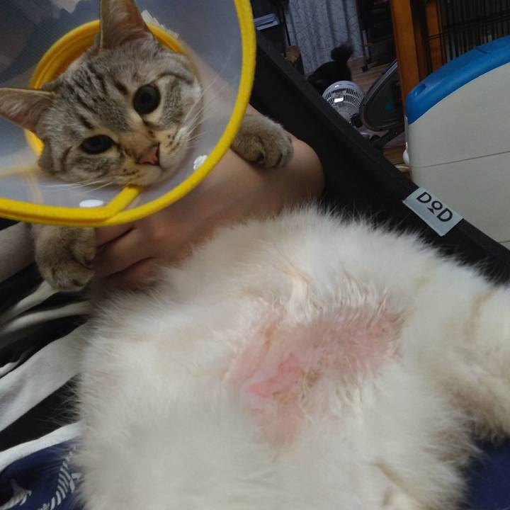 48712aea d011 4bce a424 9cd1852ebcf4 1714055506565