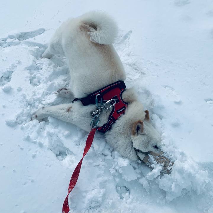 48713d02 e6aa 47fa ab18 447fcd4a45b7 1613977795808