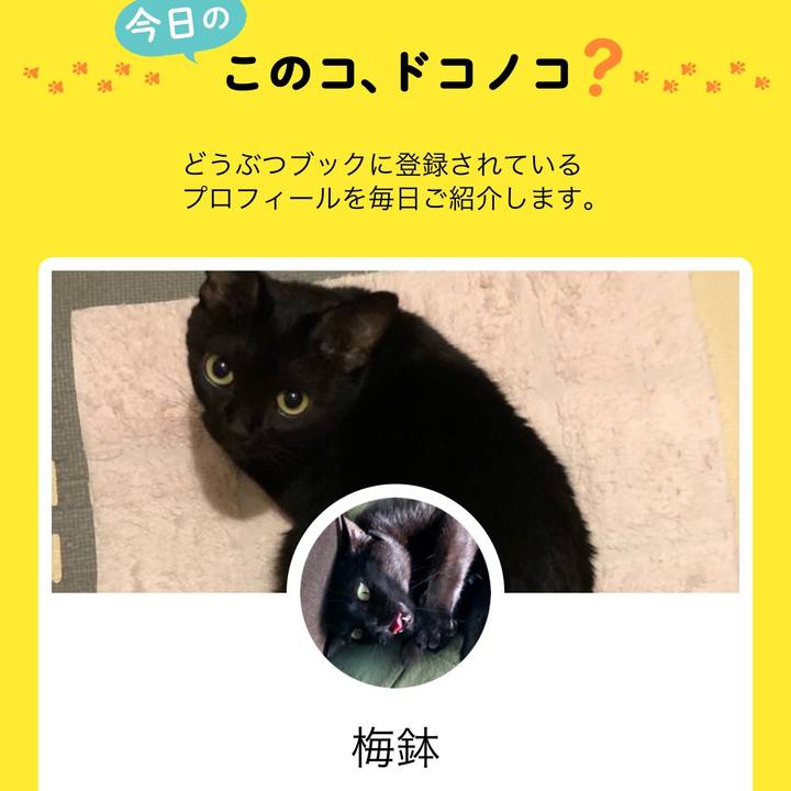 4871581f 62c0 4507 924a 5331d837fbba 1582083396819