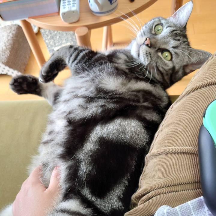 48716620 a6ea 4a8c 8d6a 5b534c2005d0 1617421114100