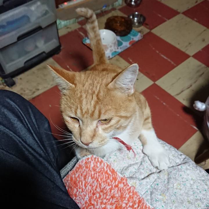 48717433 8fd1 438b 9ca2 8bde709735dd 1573031068582