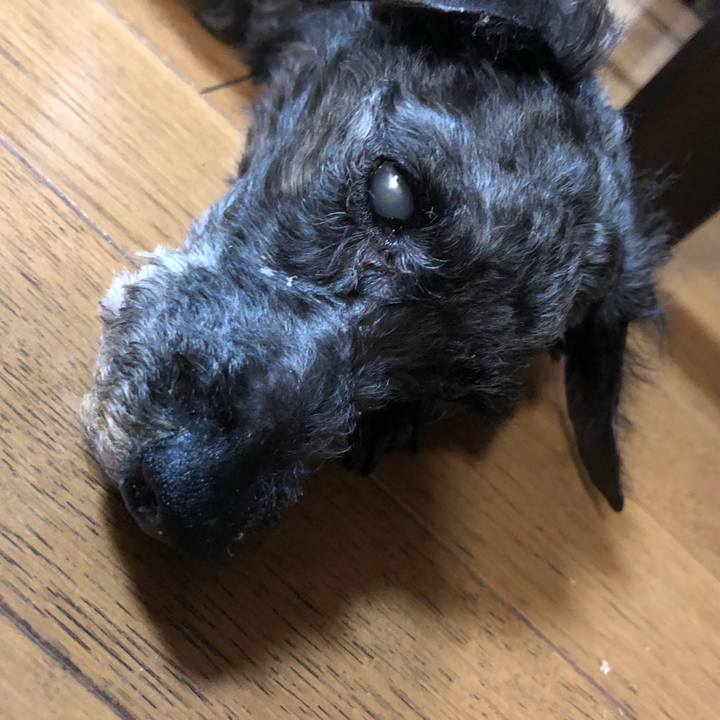 48718c19 244b 4eb9 9fc5 1a67df027b2a 1597802672620