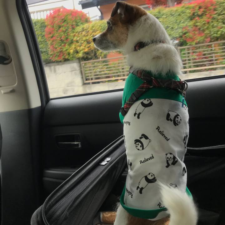 4871aaba df30 4093 b2bf 8835a7702ec3 1525054028519