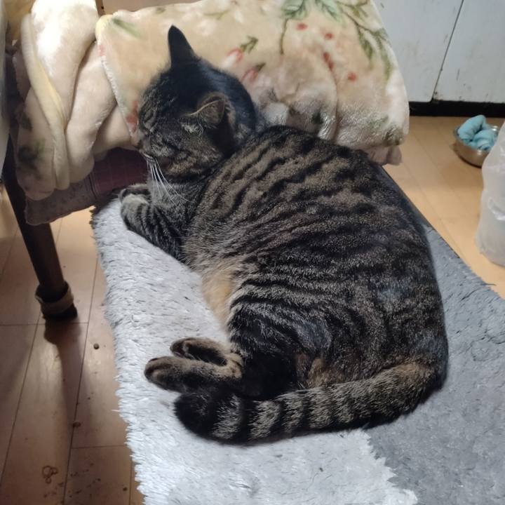 4871b154 ceed 46a0 af9d e74197e6bce9 1671753105619