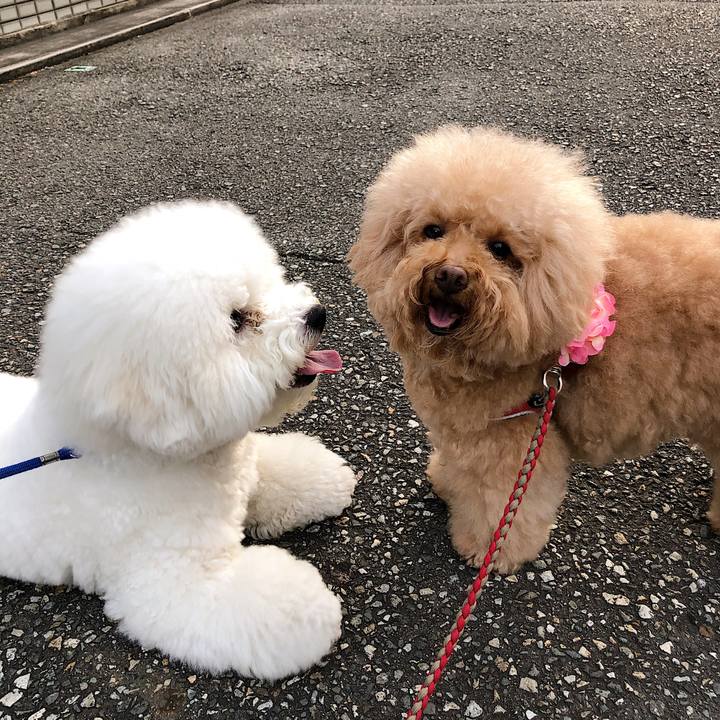 4871d1b4 c262 4aae aa1b 9e21edc40c79 1570097781310