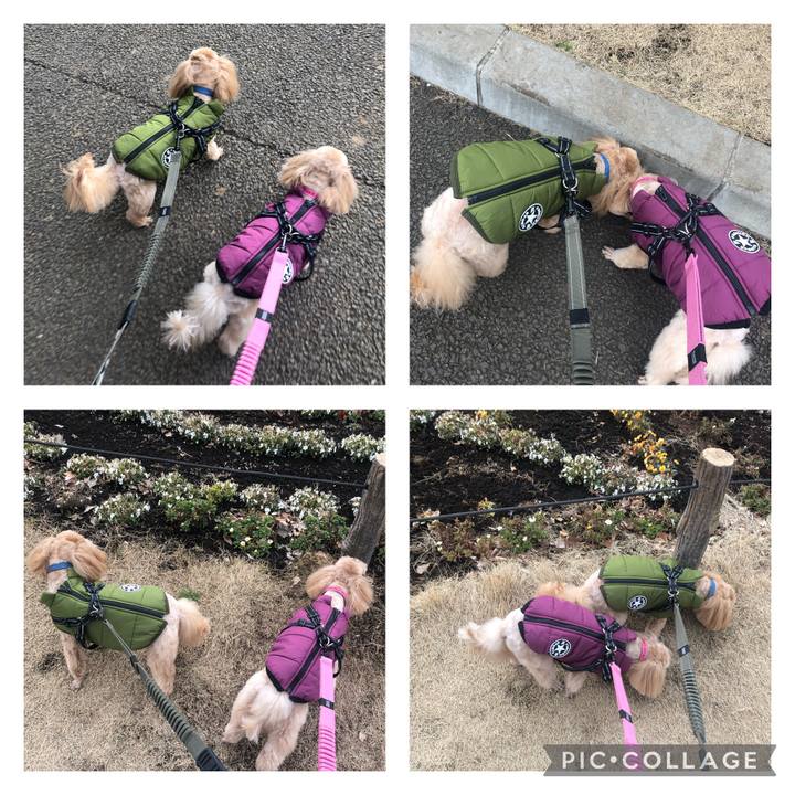 4871d74d 6549 4285 b157 0168213ed13a 1645264535881