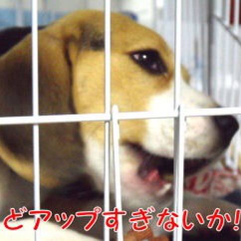 487202d1 9e0b 4f5a 9df8 fe98b16d3b89 1679875925406