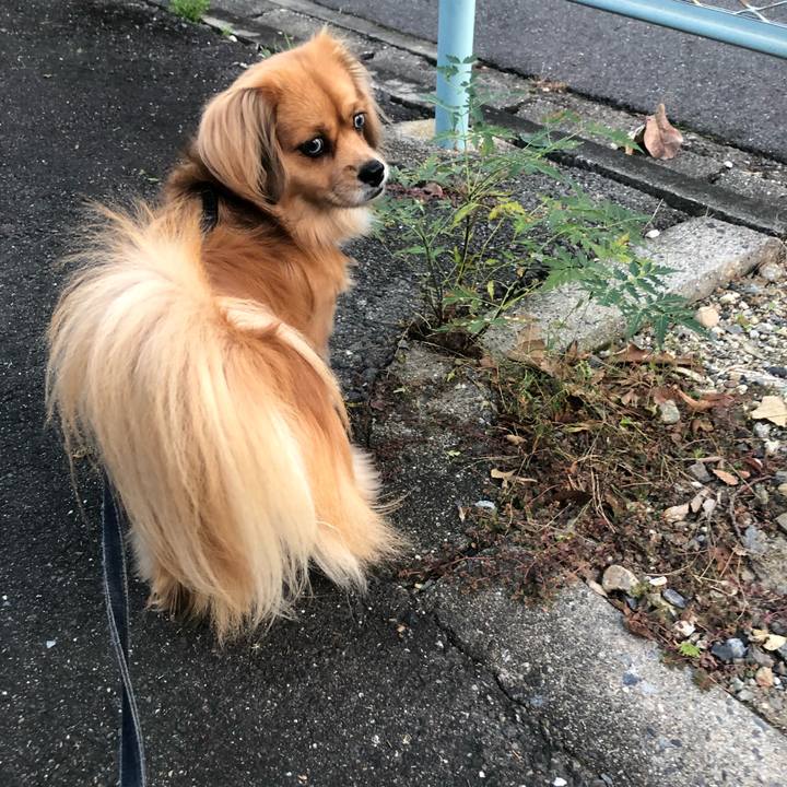 48720ca2 a271 4620 a39f 857d10735694 1540848865063