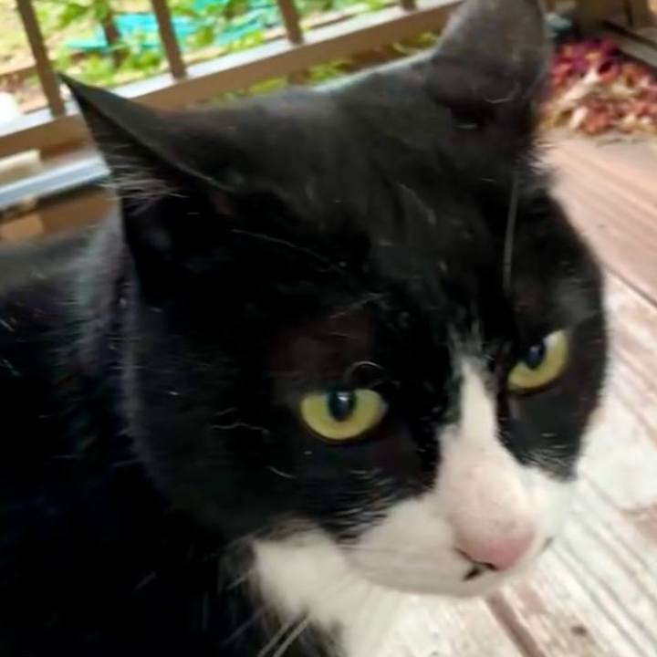 48721bd4 36d7 43c9 808e e03cad6d74c1 1740710886943