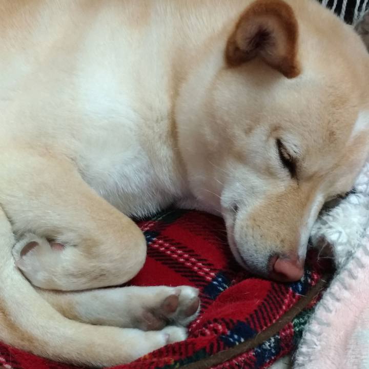 48722446 6456 4945 92e5 deebf1fbdaca 1552908453671