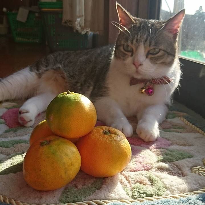 4872710b ea47 4c4c 9949 41307622f2a6 1540163087323