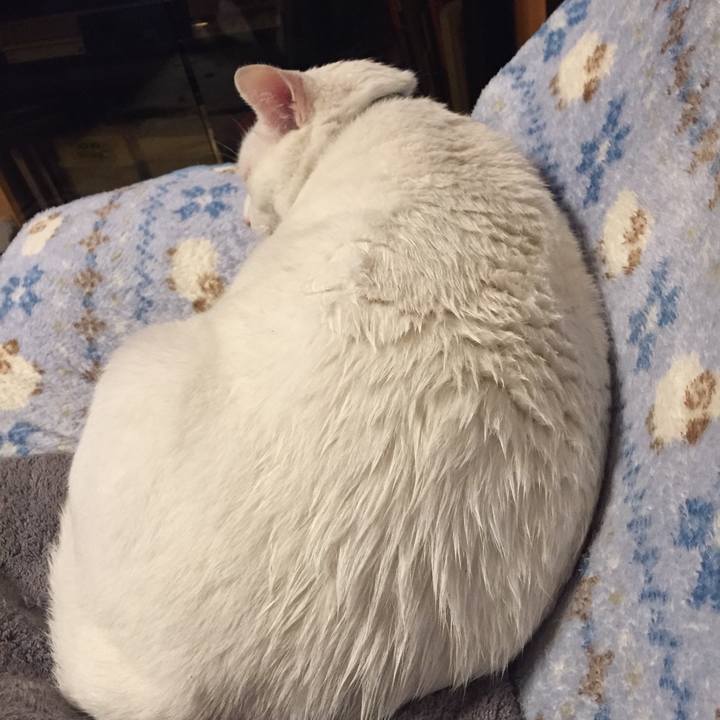 487293c9 ffd5 475c a734 9f252629573f 1539899778964