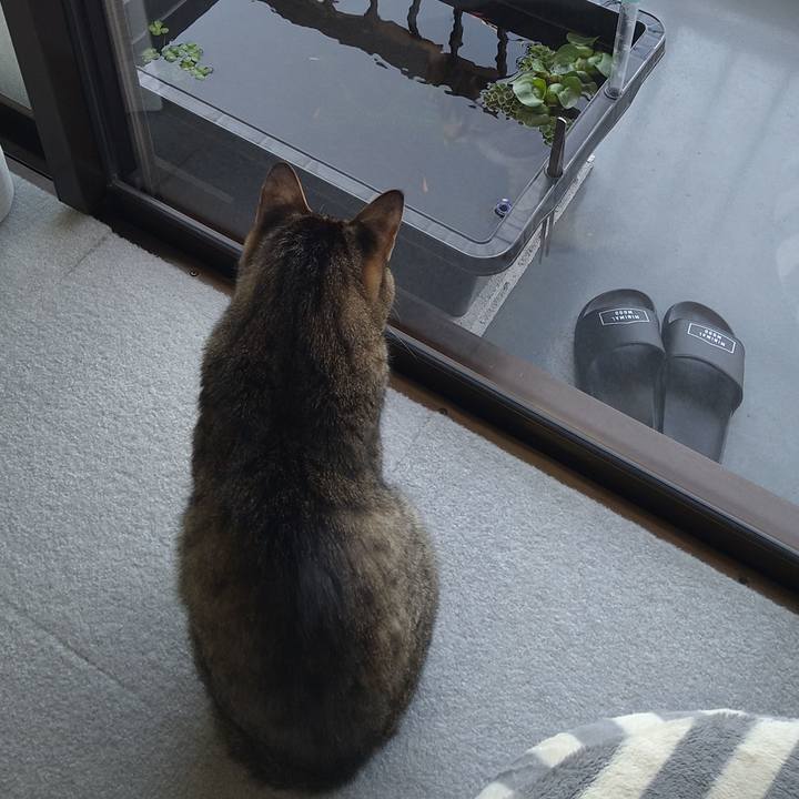 4872afdd 00bf 4443 855b f4abde5de784 1618712458238