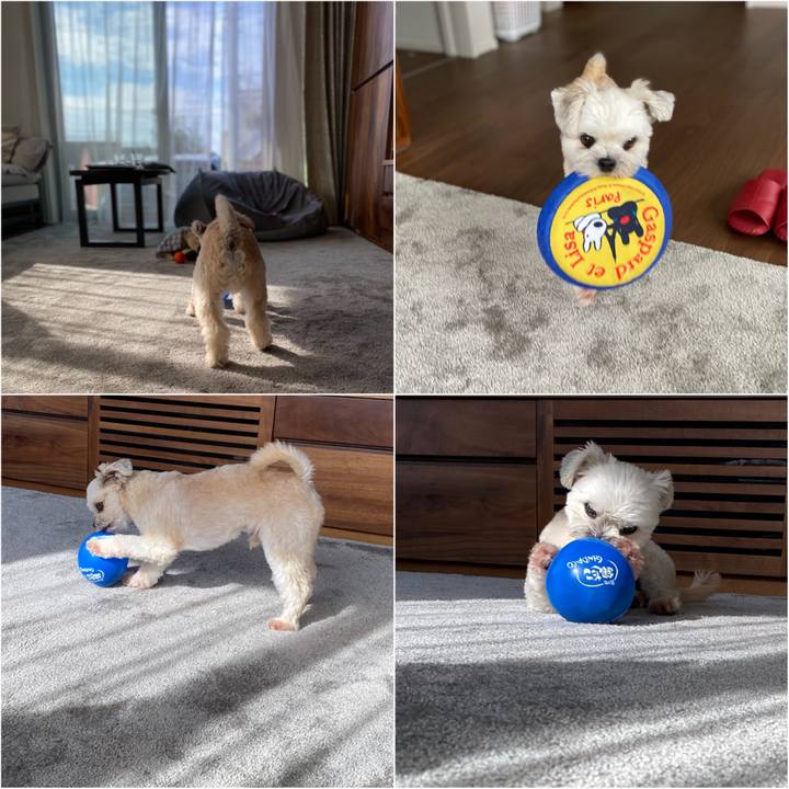 4872ed61 cdb2 4e58 b45c be0617ea3e8c 1600766131462