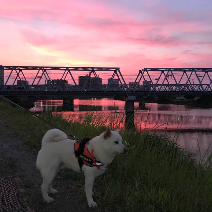 48730ecd ef5a 4357 877e 4b412252c88a 1532254857089