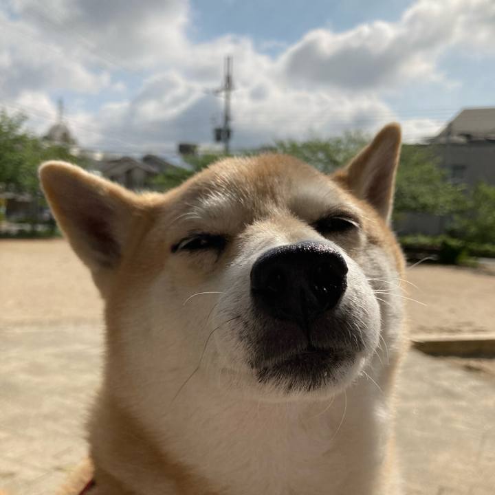 48733b51 c8f1 4781 8c0d 094818c07b11 1618452077224