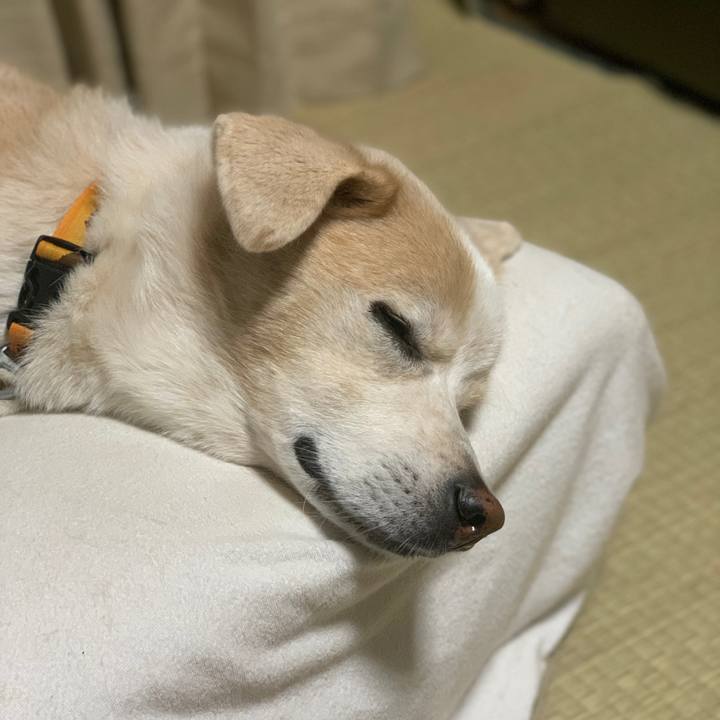 48733d6f b1cc 46ed b11f 9c40b0e4b485 1636113333180