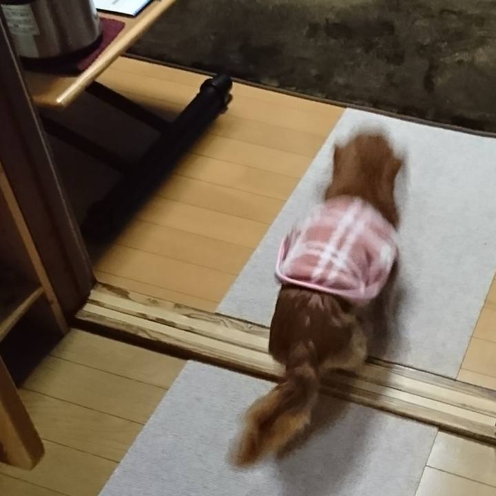 48736d42 777a 438a a411 f33d1c129358 1517210400699