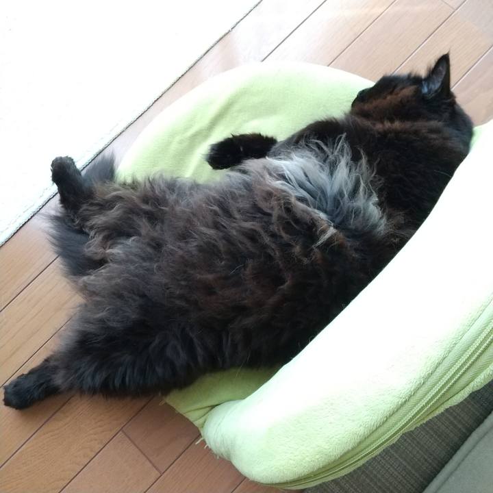 48739af8 84c1 4d0b be15 afb22cd88dd1 1587604674608