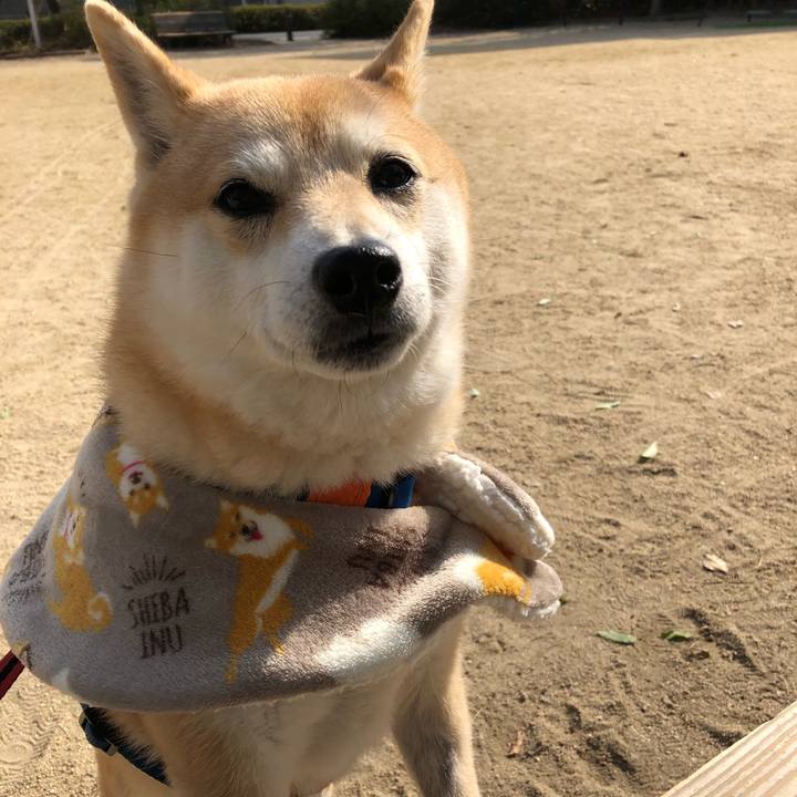 4873a3c7 90d9 450d b2bb 096d3dbeac2a 1548330955571