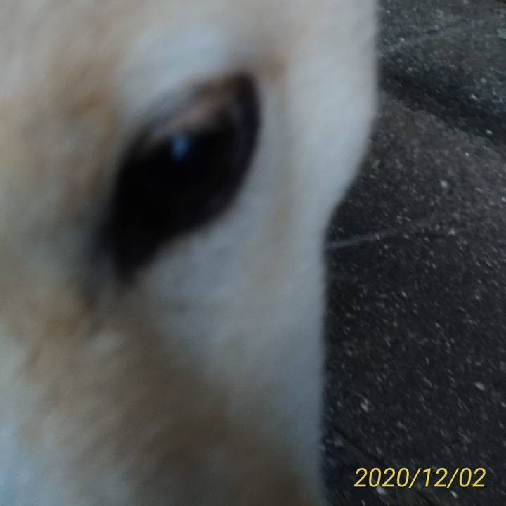 4873bcd6 6a07 45d6 88f5 641681722142 1606864764819