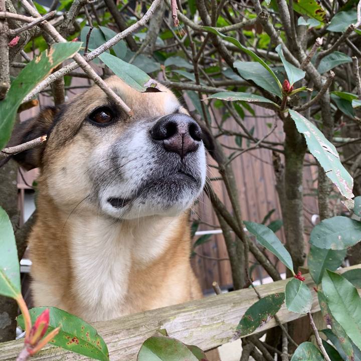 4873c632 857b 4955 944b de4fceecfc07 1549358081101