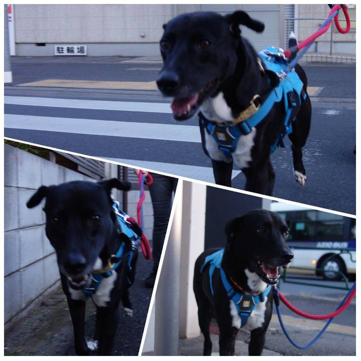 4873e1fb 62c1 4939 b001 5d42b856f9e0 1620303374440