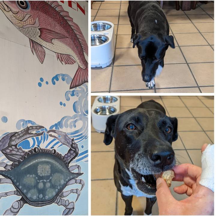 4873e252 15ed 4f75 8f42 cb7e1aa15e8e 1654598879913