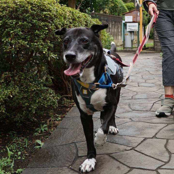 4873e969 05b7 4d91 8479 4bbfe5944ef2 1757808520418