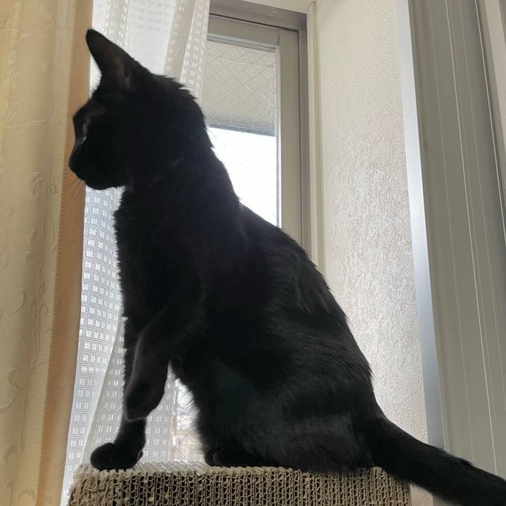 4873f7b5 2c30 407b b0b9 b40e8e3852f3 1693926885627