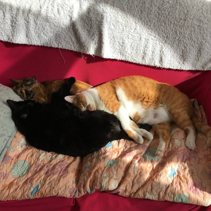 48740fcd 4c94 4732 b07b e1a024cfea96 1729387785329