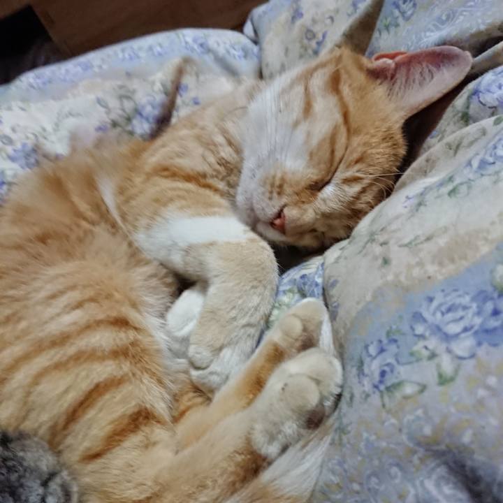 487444c9 5513 4a0a 8dc7 28cfa5e1f696 1590839995679