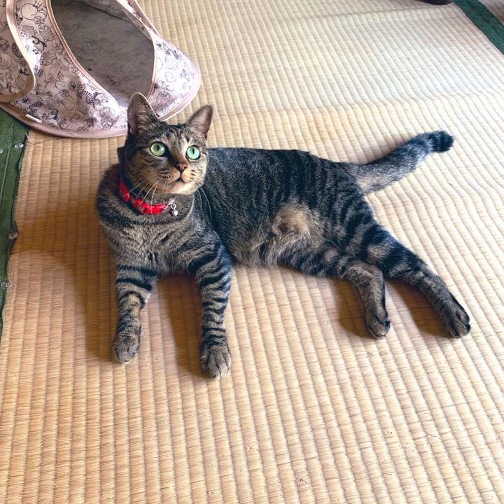 48745f28 fa68 4cd3 a005 81daf6360388 1565961263342