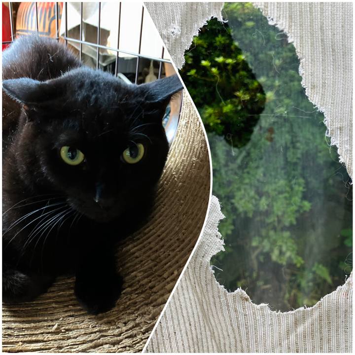 4874a35e 1390 4284 a01f 5bc47397e2ed 1727150839309