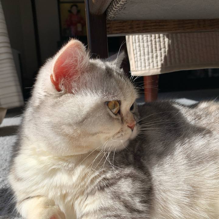 4874bc53 a421 470d 87b2 309167aac008 1709425704404