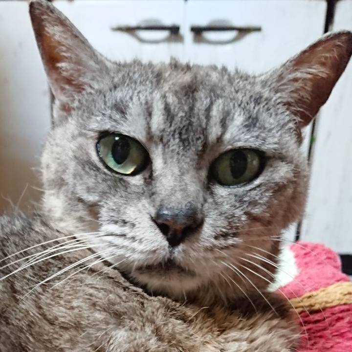 4874d28e 3339 4c89 8bad d8f91e32d041 1565086903836