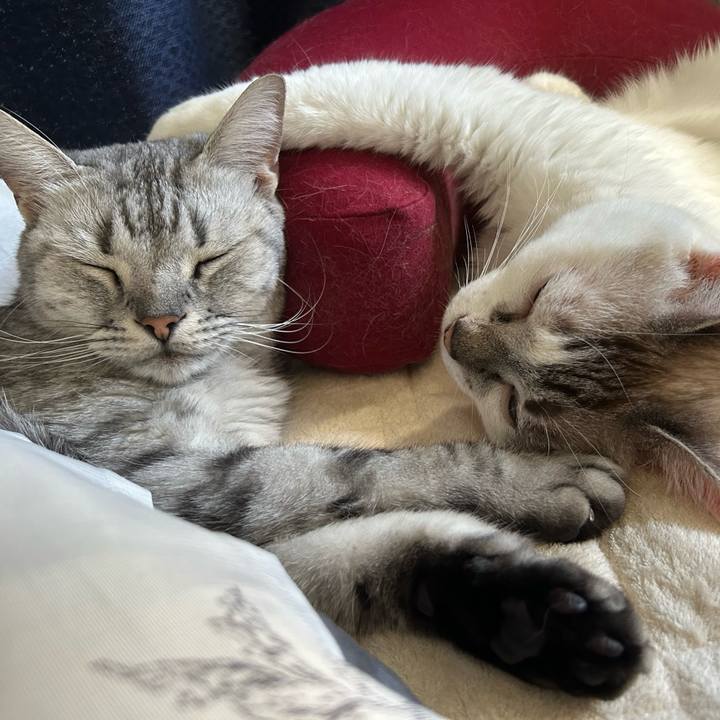 487508d3 3550 4631 a91d 57a777f0dd0d 1693095347265