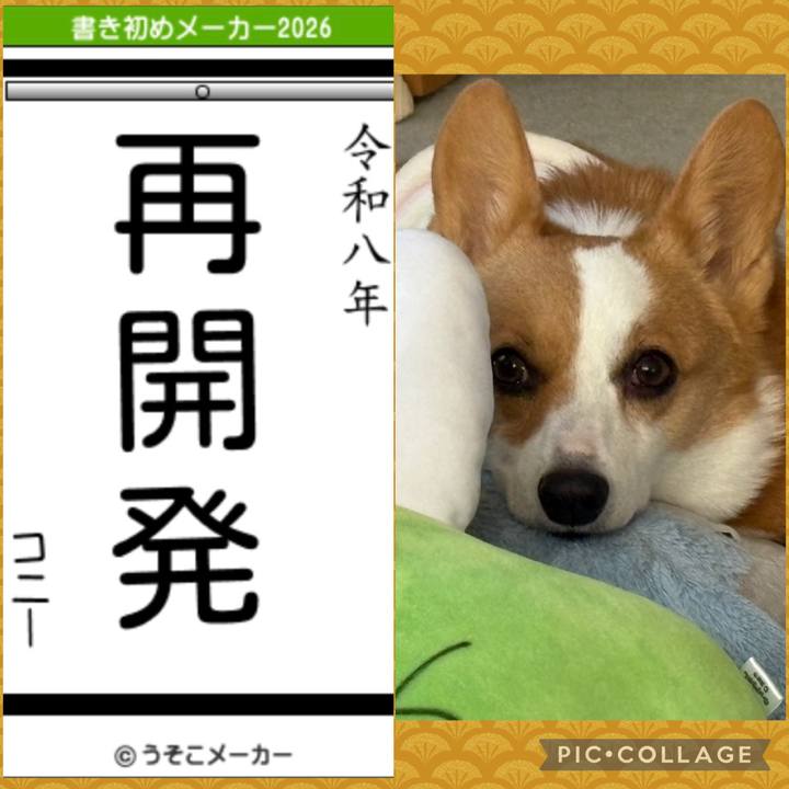 48751125 551d 4b14 bf43 83fa8a87e140 1767421237310